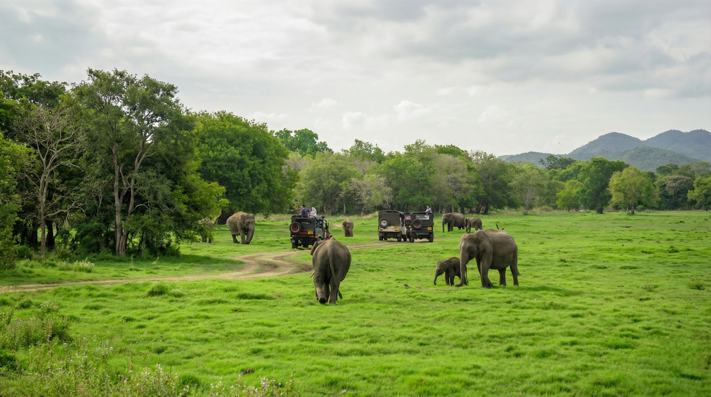 Megaherbivores